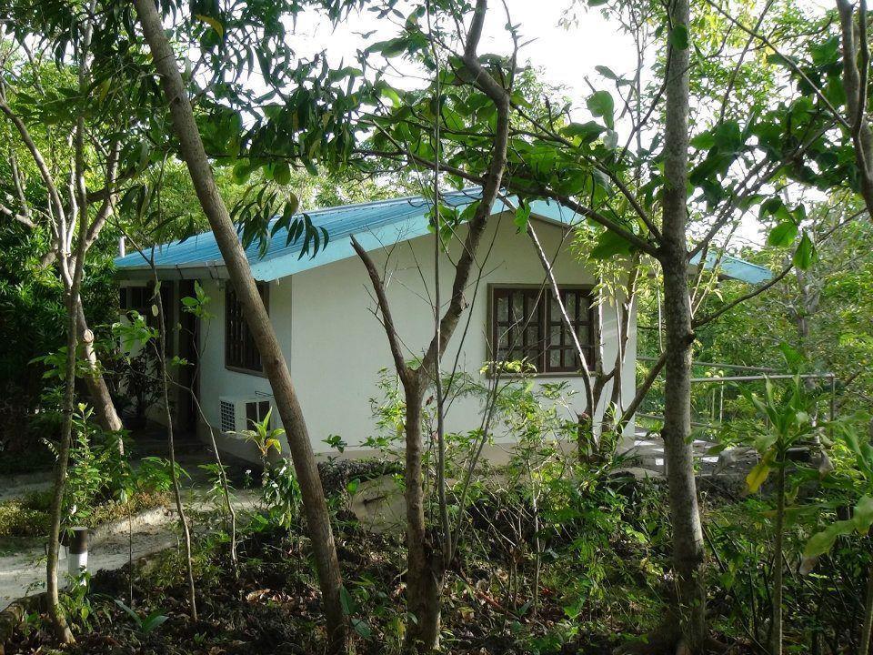 Bantayan Island Nature Park And Resort Tamiao Eksteriør bilde
